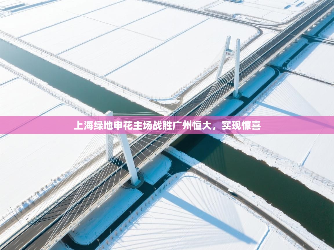 蓝鲸体育appios-上海绿地申花主场战胜广州恒大,实现惊喜 第2张