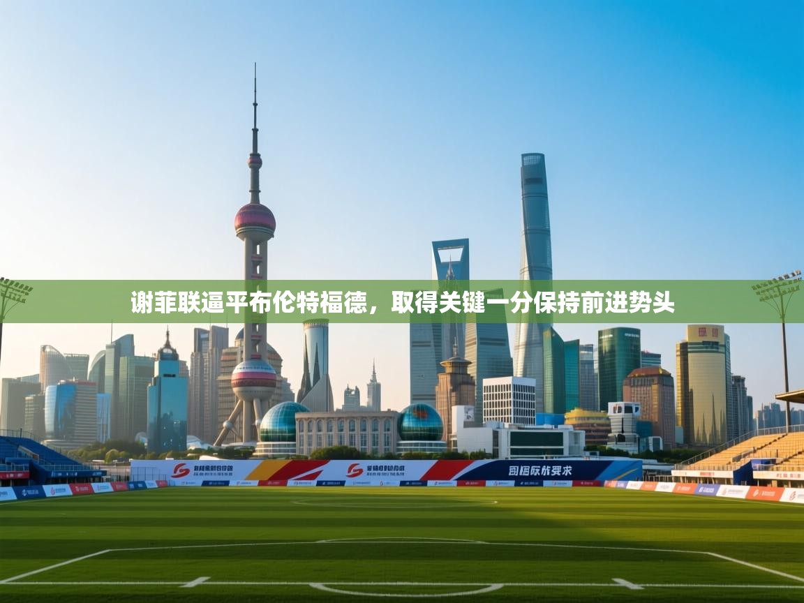 鲸蓝体育官网-谢菲联逼平布伦特福德，取得关键一分保持前进势头  第1张