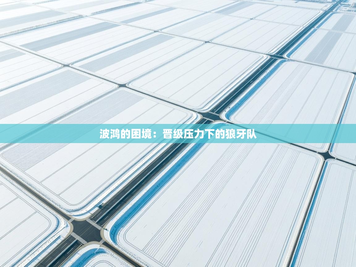 鲸蓝体育平台-波鸿的困境：晋级压力下的狼牙队  第4张