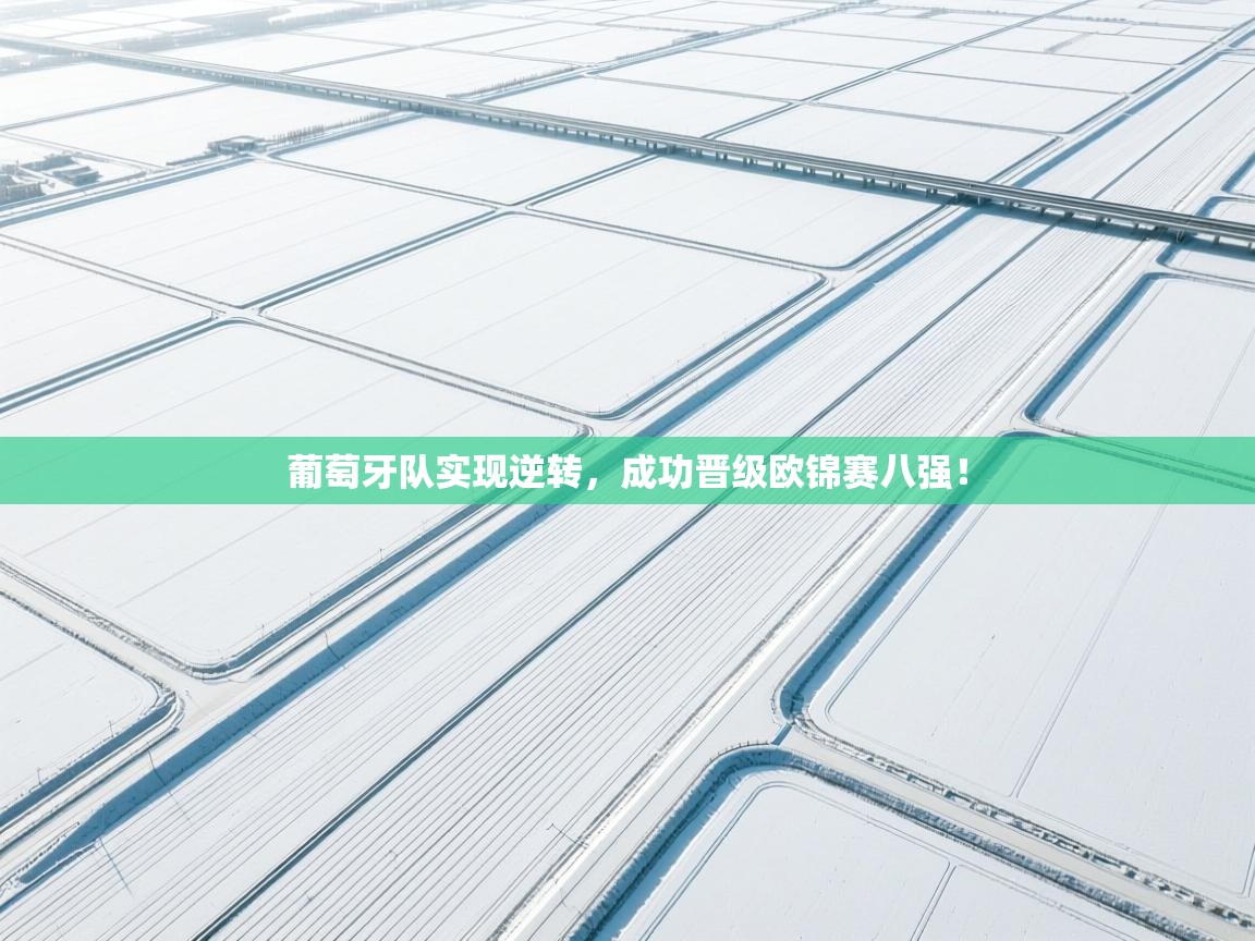 -葡萄牙队实现逆转，成功晋级欧锦赛八强！  第2张